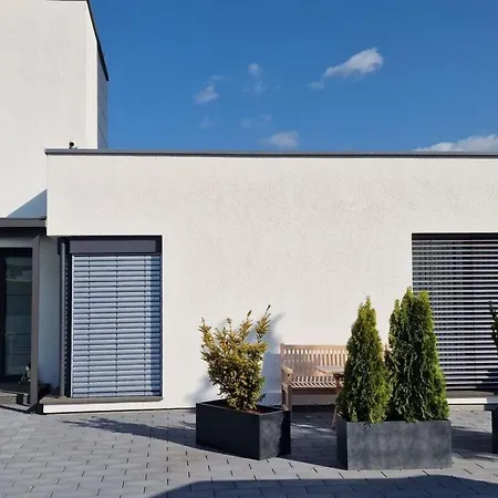 Uitzicht Op De Pellenz *