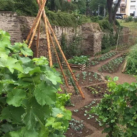Uitzicht Op De Pellenz * Eich