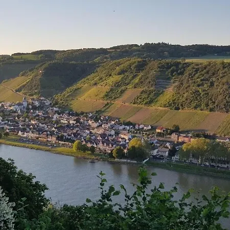 Uitzicht Op De Pellenz