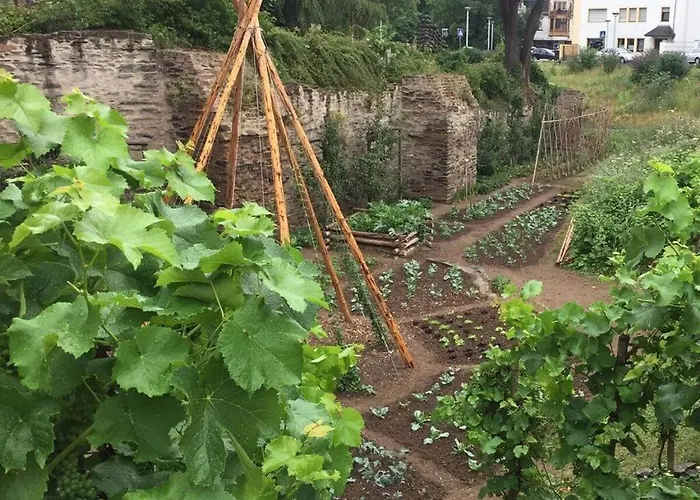 Uitzicht Op De Pellenz * Eich (Rhein-Sieg)